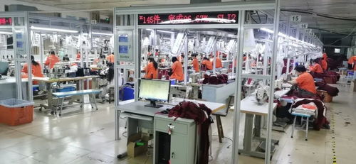 客服火線入職備戰(zhàn)天貓雙11，流水線24小時趕工，不夜廠點亮江蘇咨詢策劃服務(wù)