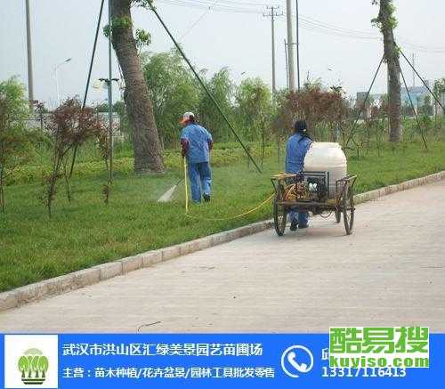 武漢酷易搜 精細綠化養護，繪就城市生態畫卷